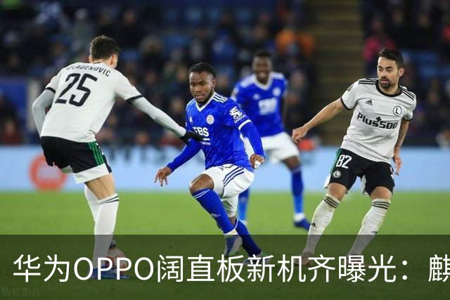 华为OPPO阔直板新机齐曝光：麒麟9030S硬刚200Mp大底，16:9要成新主流？