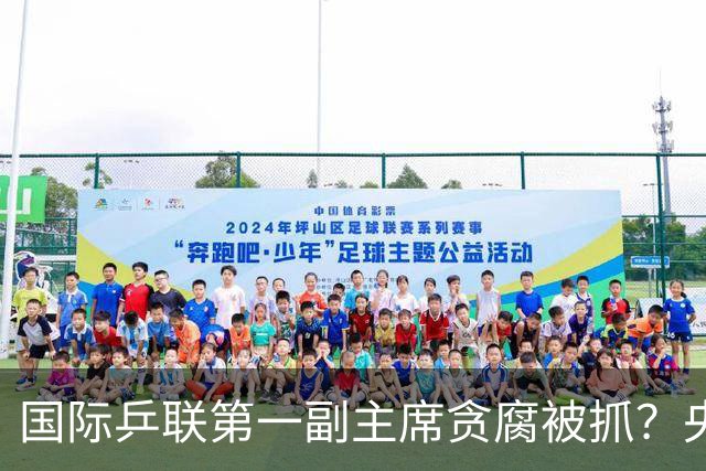 国际乒联第一副主席贪腐被抓？央媒官宣其新身份，传闻已水落石出