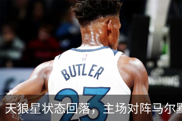 天狼星状态回落，主场对阵马尔默不宜高估
