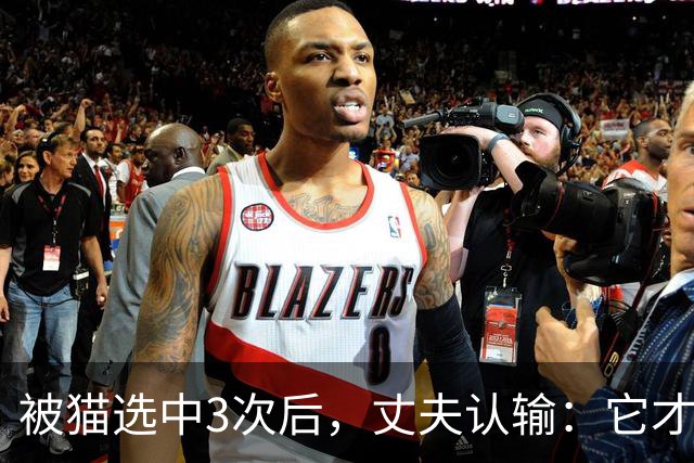 被猫选中3次后，丈夫认输：它才是一家之主
