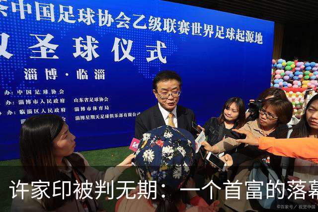 许家印被判无期：一个首富的落幕，和2.4万亿窟窿里的普通人